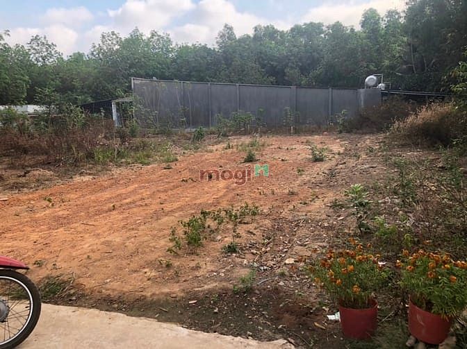 Hình ảnh KD thua lỗ bán gấp nhà cấp 4 105m2(5x21) + lô đất 200m2(10x20) thổ cư