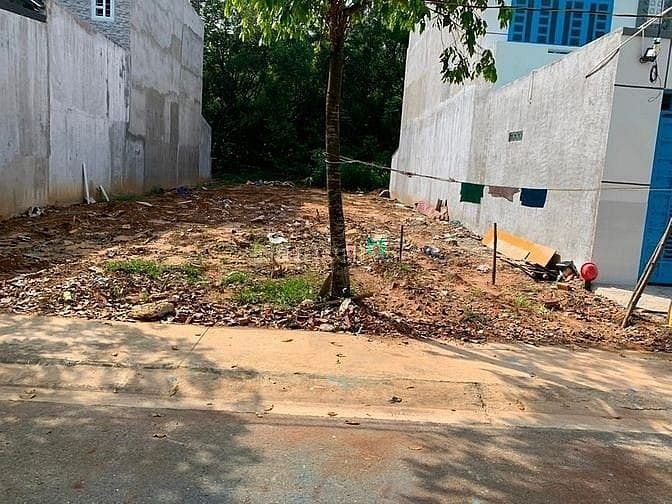 Hình ảnh Chuyển về Bắc sống cần bán 16p.trọ+300m2 đất đối diện chợ. t.nhập 19tr
