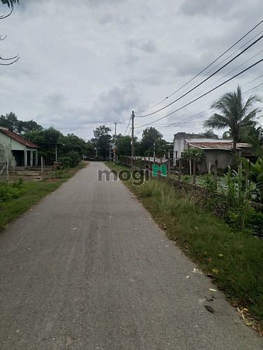 Hình ảnh Cần bán đất mặt tiền đường Trần Thị Ngon - xã Thái Mỹ - Củ Chi