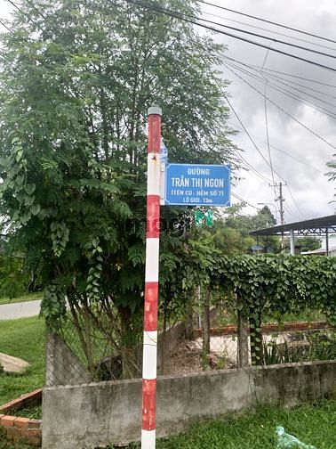 Hình ảnh Cần bán đất mặt tiền đường Trần Thị Ngon - xã Thái Mỹ - Củ Chi