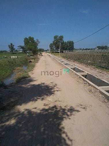 Hình ảnh Cần bán đất xã Trung Lập Thượng - Củ Chi