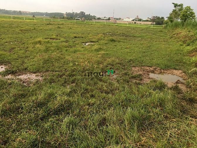 Hình ảnh Cần bán đất phân lô mặt tiền đường 669 - xã Phước Thạnh - Củ Chi