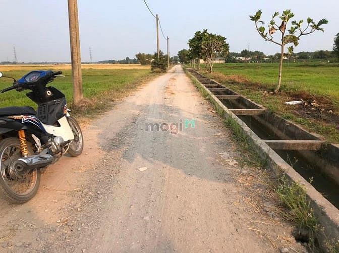 Hình ảnh Cần bán đất xã Phước Thạnh - Củ Chi