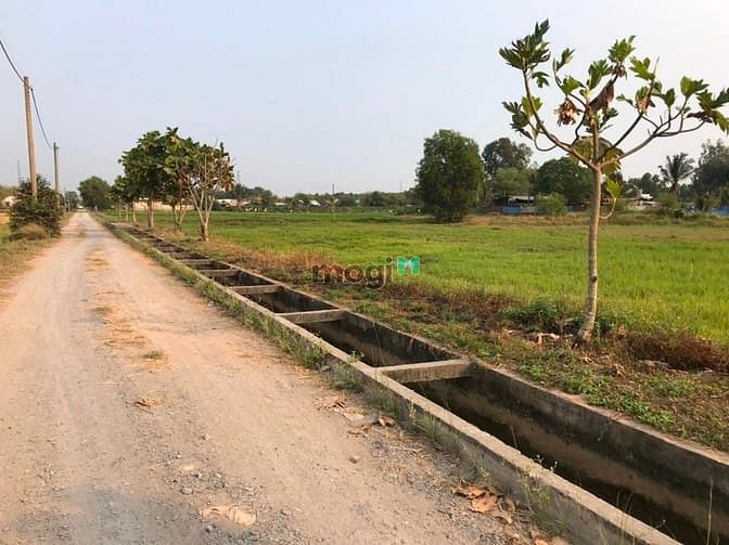 Hình ảnh Cần bán đất xã Phước Thạnh - Củ Chi