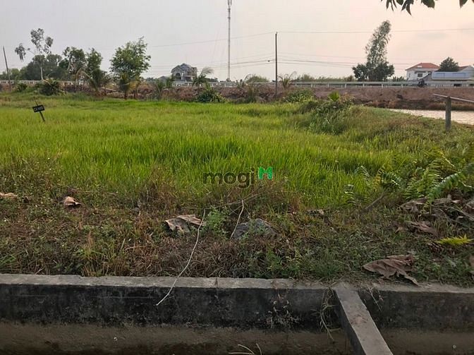 Hình ảnh Cần bán đất xã Phước Thạnh - Củ Chi