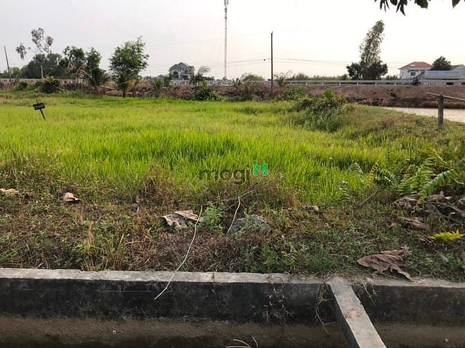 Hình ảnh Cần bán đất xã Phước Thạnh - Củ Chi