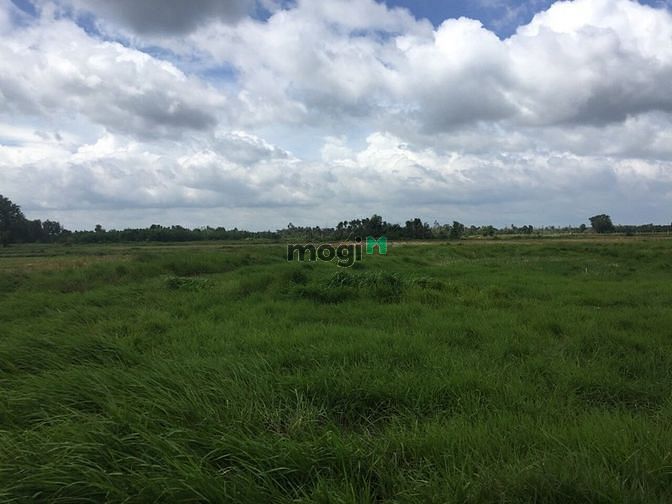 Hình ảnh Cần bán đất xã Tân An Hội - Củ Chi