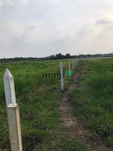 Hình ảnh Cần bán đất xã Tân An Hội - Củ Chi