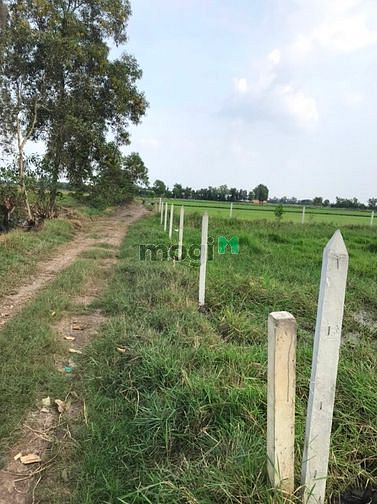 Hình ảnh Cần bán đất xã Tân An Hội - Củ Chi