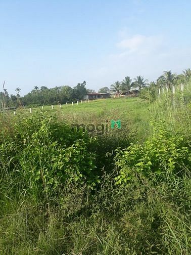 Hình ảnh Cần bán đất mặt tiền đường Tỉnh Lộ 2 - xã Trung Lập Thượng - Củ Chi