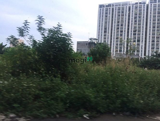 Hình ảnh Cho thuê Đất P.Thảo Điền - Kinh doanh đa dạng nghành nghề