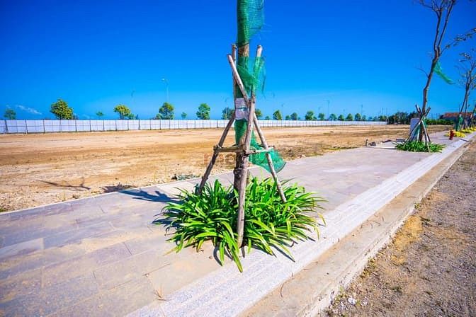 Hình ảnh Mùa dịch covid, đất xanh chia sẽ cơ hội Trang MB66.COM Chính Thức - MB 66 Uy Tín Đất Biển gia chỉ 20tr