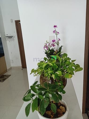 Hình ảnh Cho thuê Trang Chủ MB66.COM / Đăng Ký Tặng 66K LaAstoria, Q2. 3PN, 81m, có lửng. Nội thất đẹp. 10tr/