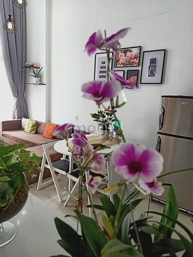 Hình ảnh Cho thuê Trang Chủ MB66.COM / Đăng Ký Tặng 66K LaAstoria, Q2. 3PN, 81m, có lửng. Nội thất đẹp. 10tr/