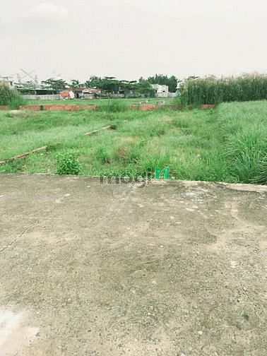 Hình ảnh Đất xã Phú Hữu 150m2 (6x25) đường ô tô 16 chổ cách phà 5 phút