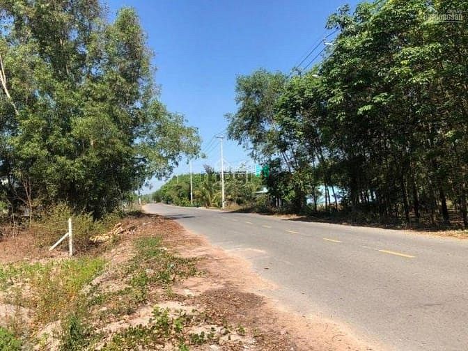 Hình ảnh Cần bán đất mặt tiền đường Võ Thị Bàng - xã Phú Mỹ Hưng - Củ Chi