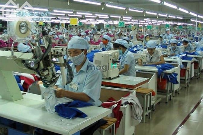 Hình ảnh Về Bắc sống bán gấp 32P.trọ đối diện KCN+460m2 đất gái chỉ 695tr