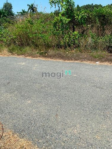 Hình ảnh Cần bán gấp đất mặt tiền đường 566 - xã Trung Lập Hạ - Củ Chi