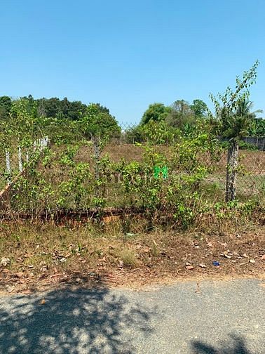 Hình ảnh Cần bán gấp đất mặt tiền đường 566 - xã Trung Lập Hạ - Củ Chi