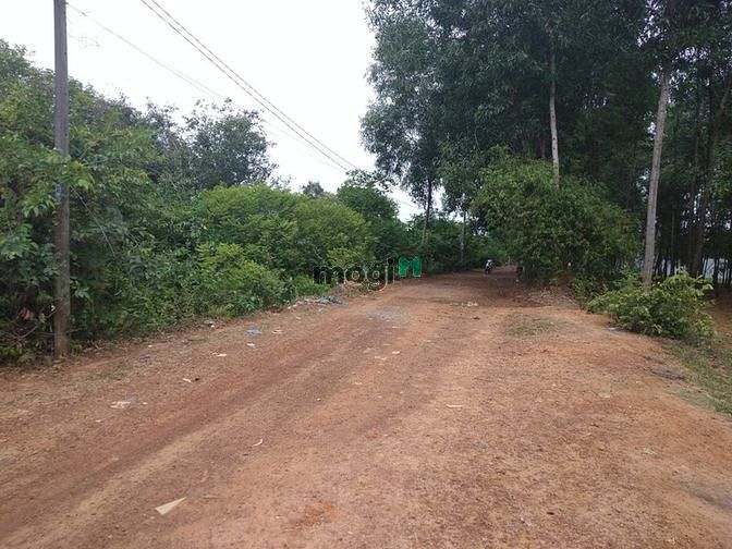 Hình ảnh Cần bán đất xã Phước Hiệp - Củ Chi