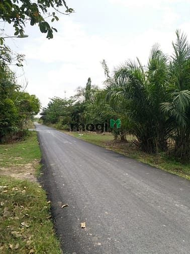 Hình ảnh Cần bán đất mặt tiền đường Bàu Lách - xã Phạm Văn Cội - Củ Chi