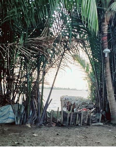 Hình ảnh Bán gấp lô đất 195m2 xã Phước Khánh giá chỉ 1 tỷ