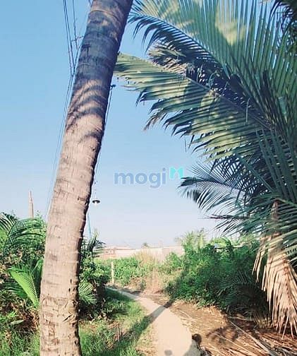 Hình ảnh Bán gấp lô đất 195m2 xã Phước Khánh giá chỉ 1 tỷ