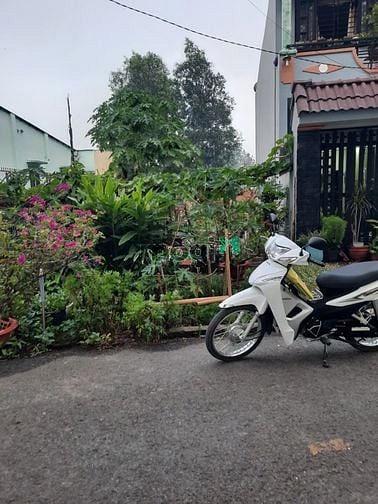 Hình ảnh Cần bán đất mặt tiền đường Nhựa - xã Tân Thông Hội - Củ Chi