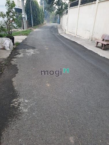 Hình ảnh Cần bán đất mặt tiền đường Nhựa - xã Tân Thông Hội - Củ Chi