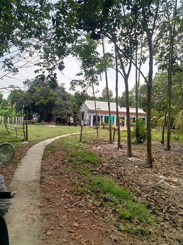 Hình ảnh Cần bán nhà vườn xã Trung Lập Thượng - Củ Chi
