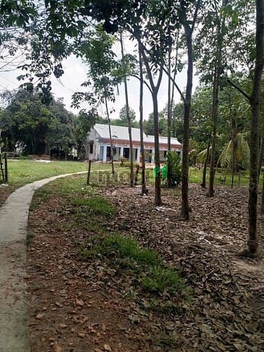 Hình ảnh Cần bán nhà vườn xã Trung Lập Thượng - Củ Chi