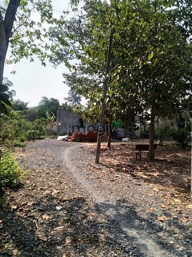 Hình ảnh Cần bán nhà vườn xã Trung Lập Thượng - Củ Chi