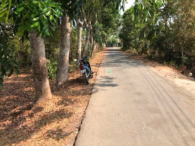 Hình ảnh Cần bán gấp đất 1 xẹc đường 693 - xã Thái Mỹ - Củ Chi