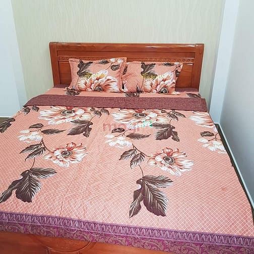 Hình ảnh Góc 2 MT Bành Văn Trân, 5 tầng + Thang Máy Chỉ 14 tỷ.