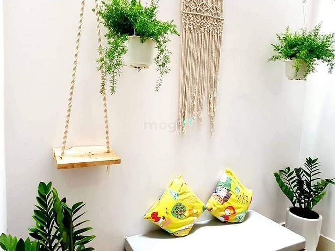 Hình ảnh Bán nhà Hẻm 31Hoàng Việt - Khu Đệ Nhất Khách Sạn, Tân Bình