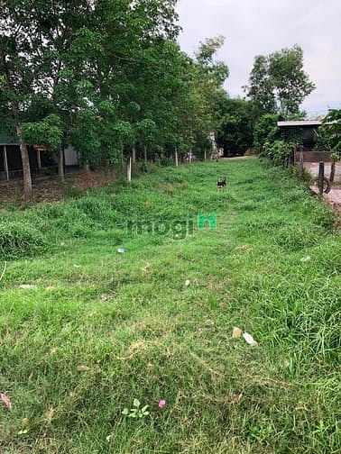 Hình ảnh Cần bán đất 2 mặt tiền đường 596 - xã Trung Lập Hạ - Củ Chi