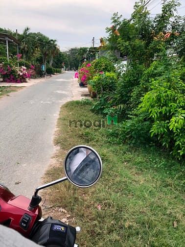 Hình ảnh Cần bán đất 2 mặt tiền đường 596 - xã Trung Lập Hạ - Củ Chi