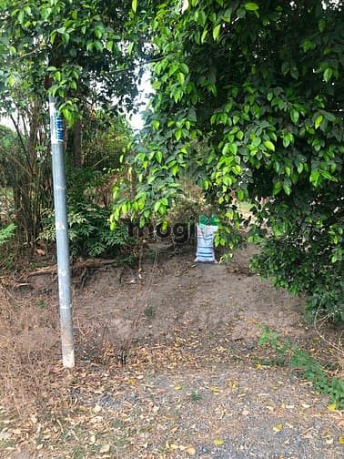 Hình ảnh Cần bán đất 2 mặt tiền đường 596 - xã Trung Lập Hạ - Củ Chi