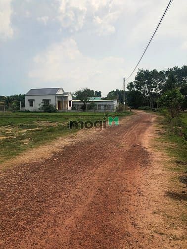 Hình ảnh Cần bán đất xã Trung Lập Hạ - Củ Chi