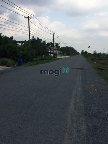 Hình ảnh Cần bán đất mặt tiền đường Tam Tân - xã Tân An Hội - Củ Chi