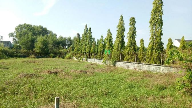 Hình ảnh Cần bán đất mặt tiền đường Vườn Thuốc - xã Tân Phú Trung - Củ Chi