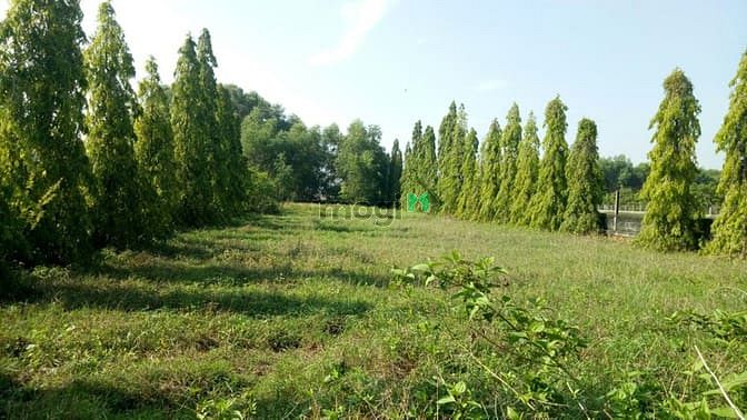 Hình ảnh Cần bán đất mặt tiền đường Vườn Thuốc - xã Tân Phú Trung - Củ Chi