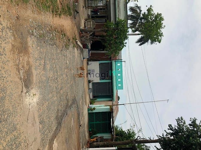 Hình ảnh Cần bán đất xã Tân Thông Hội - Củ Chi