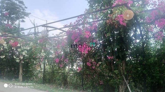 Hình ảnh Bán lô đất Biệt thự đường Trục 10 x 20, giá 65 triệu/m2.