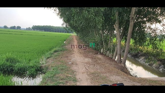 Hình ảnh Cần bán đất xã An Nhơn Tây - Củ Chi