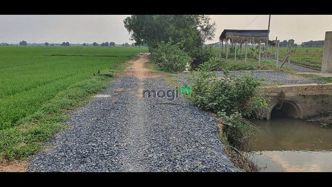 Hình ảnh Cần bán đất xã An Nhơn Tây - Củ Chi