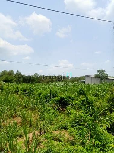 Hình ảnh Cần bán đất mặt tiền đường 793 - xã An Phú - Củ Chi
