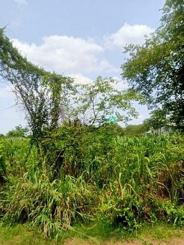 Hình ảnh Cần bán đất mặt tiền đường 793 - xã An Phú - Củ Chi