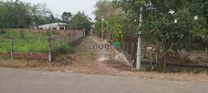 Hình ảnh Cần bán đất 1/ đường Cây Gõ - xã An Phú - Củ Chi