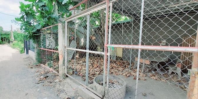 Hình ảnh Bán đất Phú Hữu 205m2 thổ cư 100% cách Cát Lái 1km giá rẻ